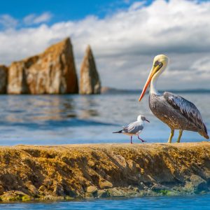 Tesoros de Ecuador y Galápagos